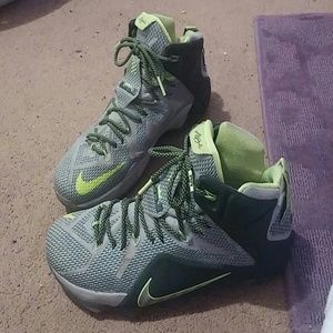 Lebron 12's Dunkman's size 13
