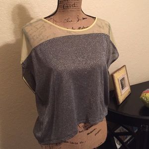 Shimmery high to low shirt