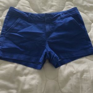 Royal blue Harper chinos