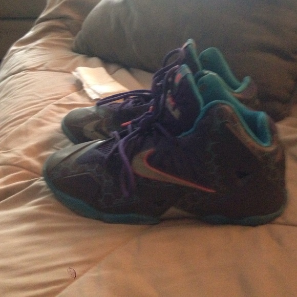 Honey combs lebron 11s - Picture 2 of 4