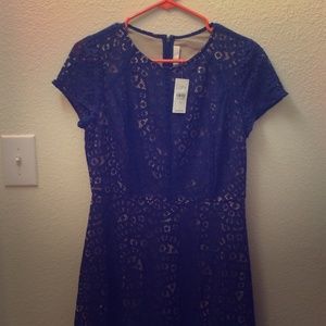 NWT LOFT dress size 2 navy lace