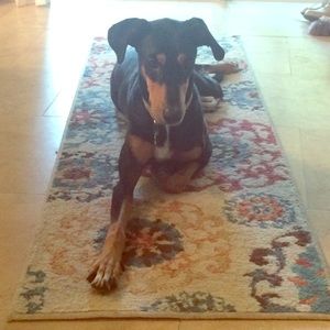 Pier 1 runner area rug