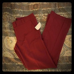 Burgundy straight leg dress pants BRAND NEW
