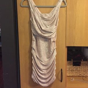 Express Champagne dress