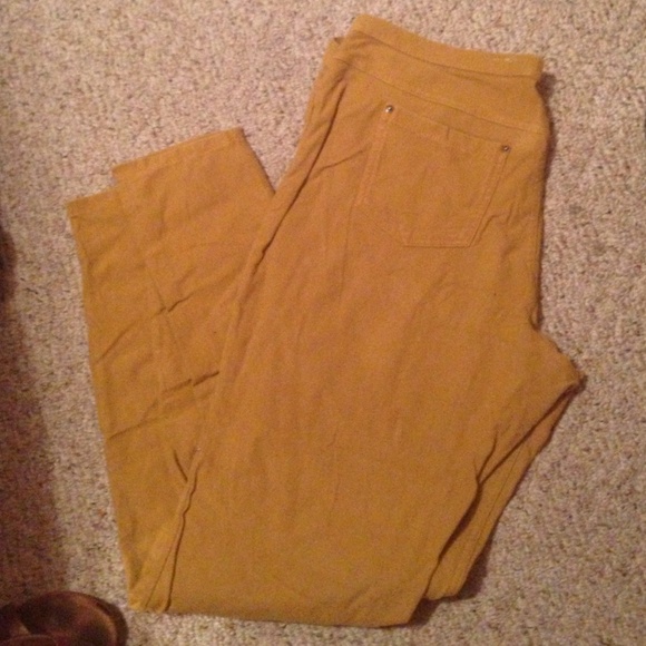 HUE Pants - Hue jeggings