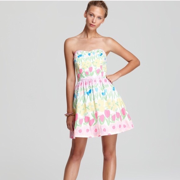 Lilly Pulitzer Payton Dress