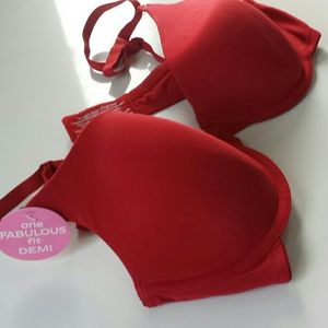 Demi Maidenform bra