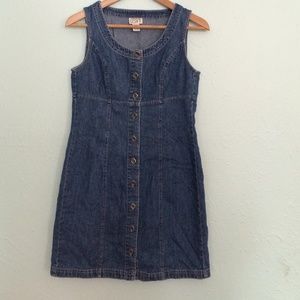 Ann Taylor Loft Princess Seam Denim Dress