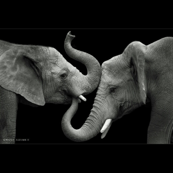 LIVE SHOW! SHARE THIS PLEASE! - Picture 3 of 3