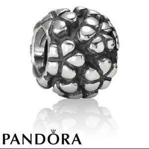 Pandora Flower Power Charm