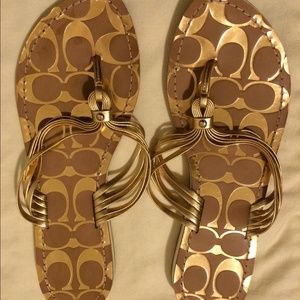 Coach Flip Flops