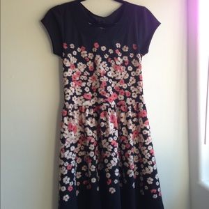 LC Lauren Conrad Floral Skater Dress