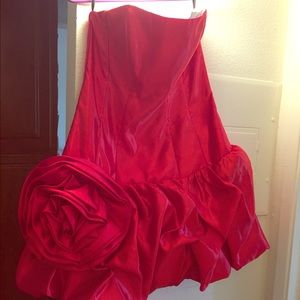 Jessica McClintock Gown
