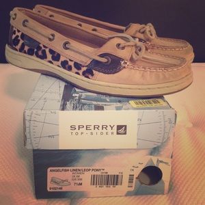 Leopard Angelfish Sperrys