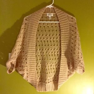 Ann Taylor Loft Sweater