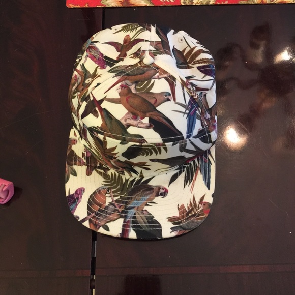 ONE HOUR SALE RVCA bird hat