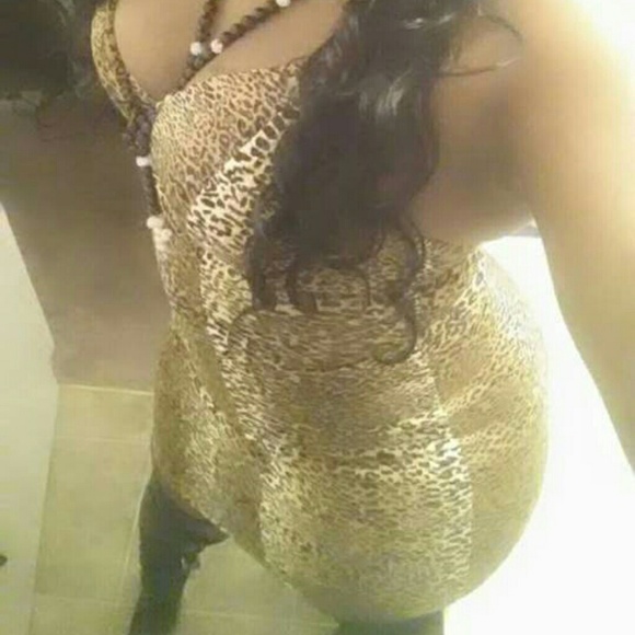 Sweet Leopard - Picture 2 of 3