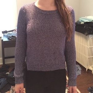 Cute Sparkly Purple Sweater with back zipper