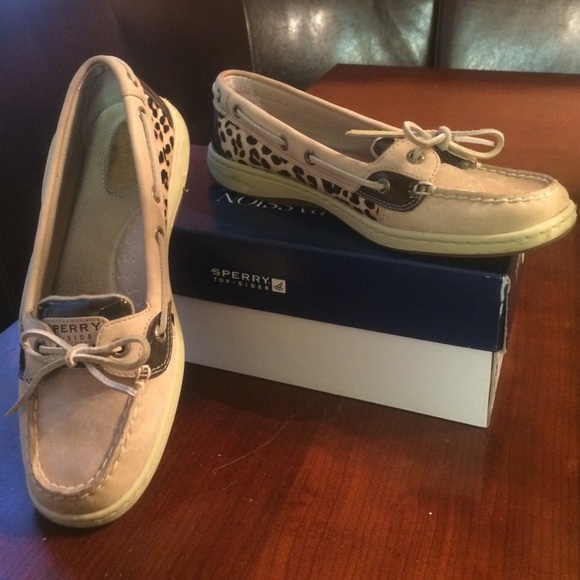 Cheetah Sperrys angelfish