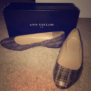 Ann Taylor Flats