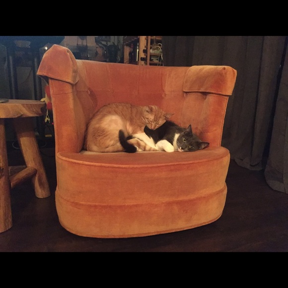 Hello! - Picture 2 of 8