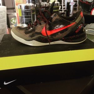 Kobe 8s