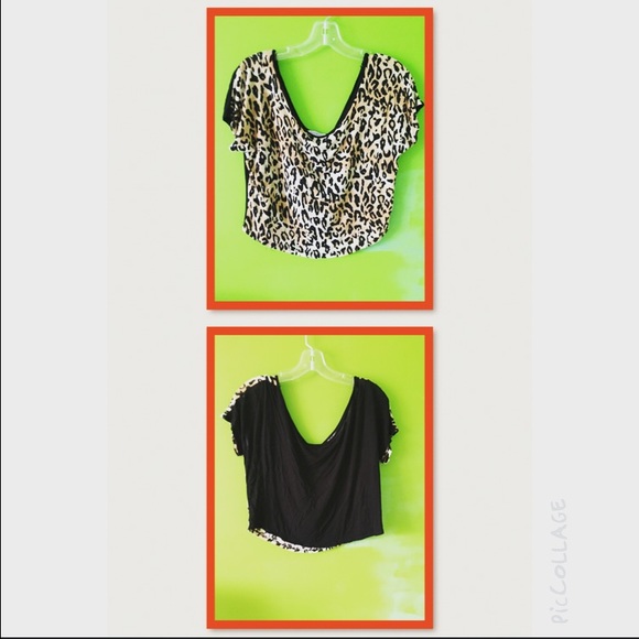 Bundles In Shirts - Picture 3 of 4