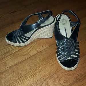 New Directions wedge