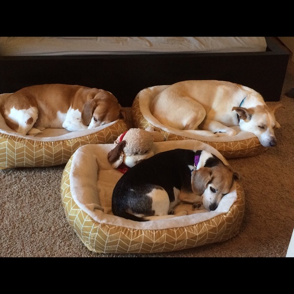 Meet the Posher! - Picture 2 of 2