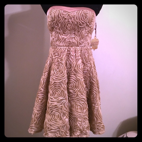 🏆HP🏆Champagne roses lace swing dress semi-formal - Picture 2 of 4