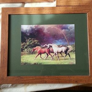 Beautiful horse pictures