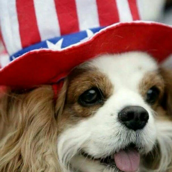 Happy 4th of July weekend everyone! !
