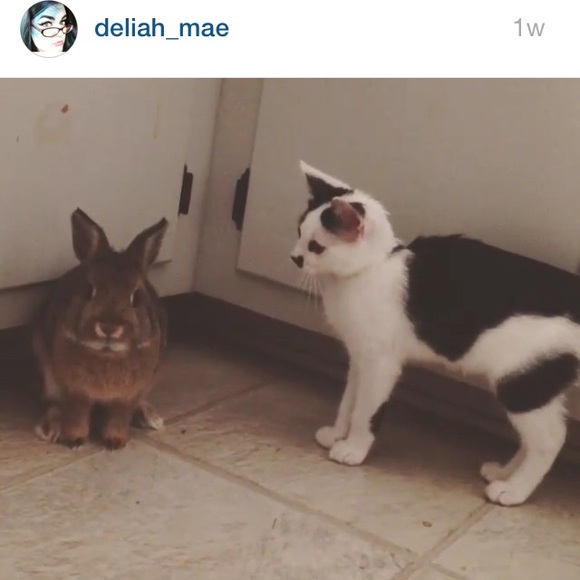 Thanks for checking out my closet... - Picture 5 of 8