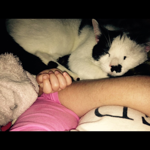 Thanks for checking out my closet... - Picture 4 of 8