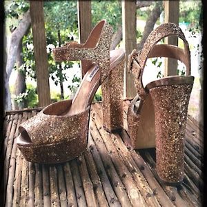 Lowest and final price..Jillyy by Steve Madden 7.5