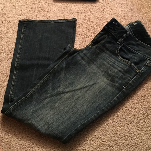 AE Artist Jeans. Size 10 regular.