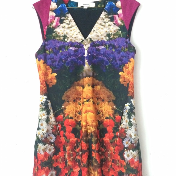 Cameo XS  Floral Mirror Print Shift Dress