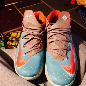 KDs 7 mary blue crabs