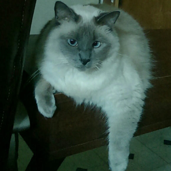 My baby MeMaw - Picture 3 of 4