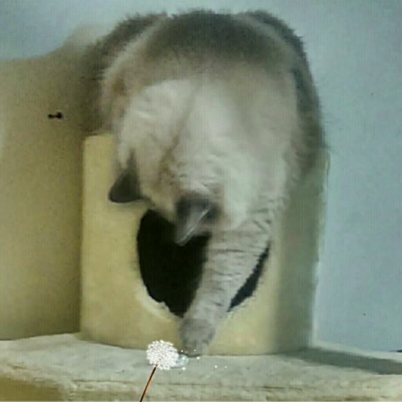 My baby MeMaw - Picture 2 of 4