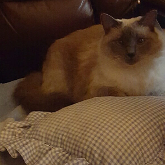 My baby MeMaw - Picture 4 of 4