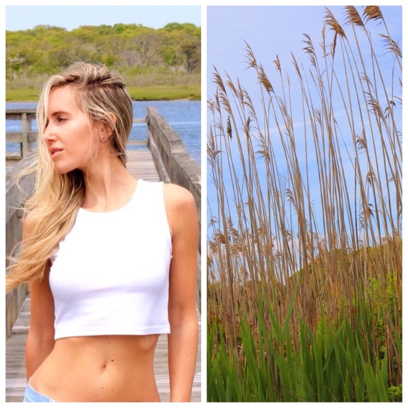 SOLD Perfect White Crop Top - Picture 4 of 4