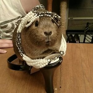 My mom has everything you need!  Come visit us??