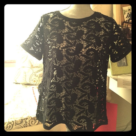 LOFT Lace Top