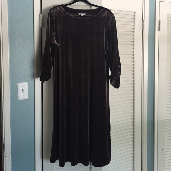 🎄 Brown Velvet Dress with Roushed Sleeves🎄