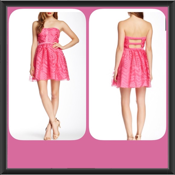 Organza A-Line Dress