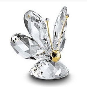 🌟beautiful miniature butterfly🌟