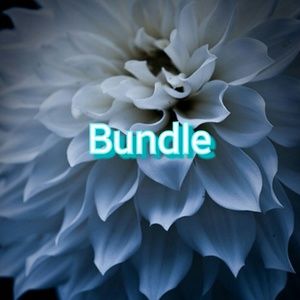 Bundle for @andih98