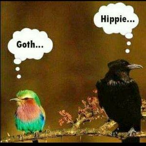 My closet is a mix of both : )