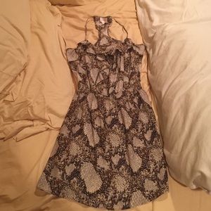 Parker snake print minidress